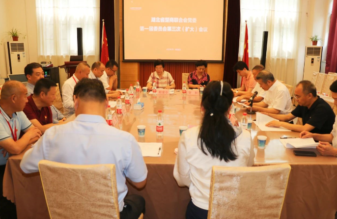 湖北省楚商聯合會黨委第一屆委員會第三次（擴大）會議成功舉行